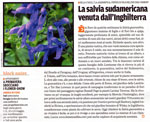 venerdi