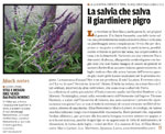 articolo Il Venerdi